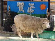 賀正と羊の画像