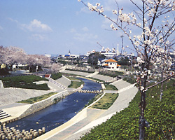 朝倉川