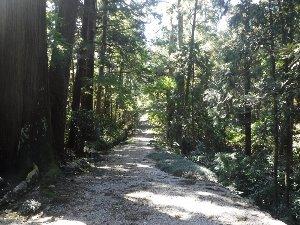 正宗寺 参道