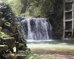 郷道の滝の画像2
