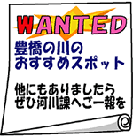 WANTED