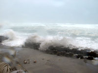 表浜海岸での波浪写真の画像