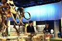 秋篠宮皇嗣殿下視察のようす
