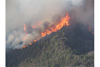 林野火災画像