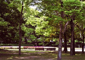 豊橋公園２