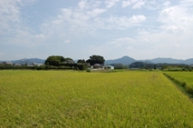 豊川沿線に広がる集落