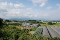 豊川沿いの落ち着いた景観