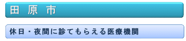 田原市。休日・夜間に診てもらえる医療機関