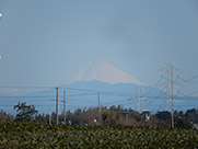 富士山の画像