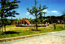 飯村公園の写真