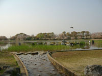 岩田運動公園の写真