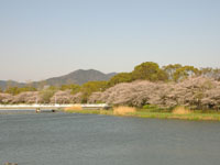 橋の右側