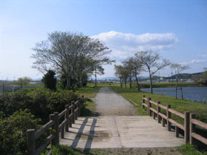 利兵池公園の写真