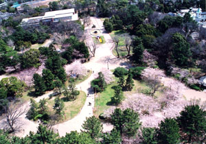 豊橋公園の写真