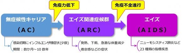 HIVに感染してからエイズを発症するまで