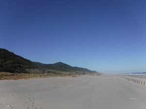 細谷海岸の画像