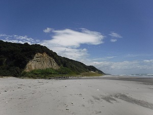 砂浜と海食崖の画像