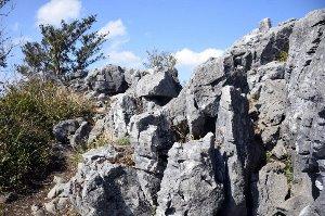 山頂 石灰岩の岩場