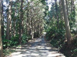 中山自然歩道