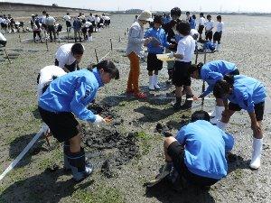 汐川干潟保全実践活動