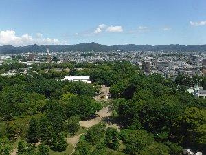 豊橋市役所庁舎より望む豊橋公園の画像