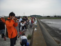 野鳥観察の画像