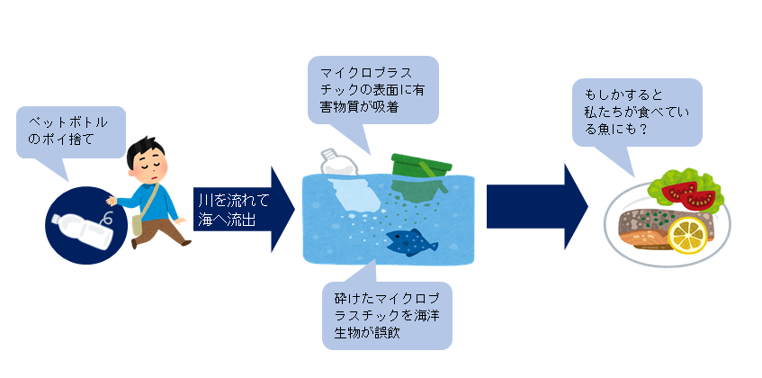 マイクロプラスチック摂取