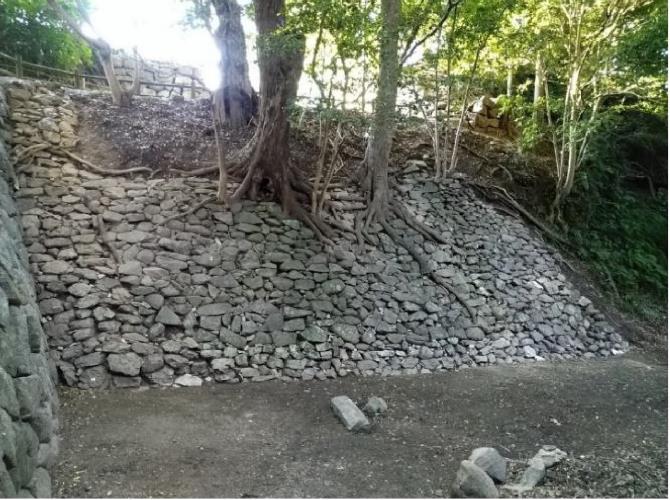 吉田城址（豊橋公園内）で新たに確認された最古級の石垣