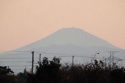 富士山の写真