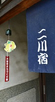 furin2