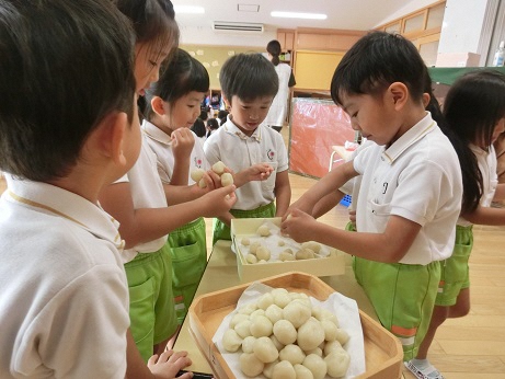 5歳の子がお月見団子を作っているところ