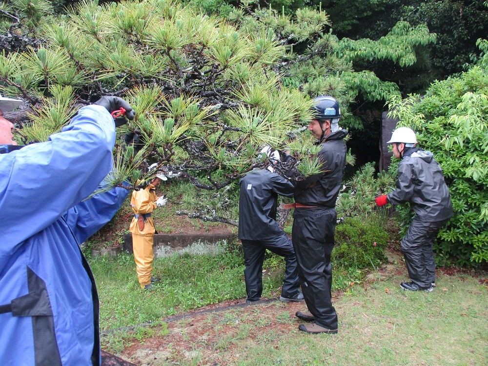 樹木部会