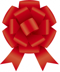 受賞取り組み 豊橋市