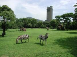 豊橋総合動植物公園