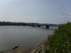 梅田川河口（大崎橋付近）